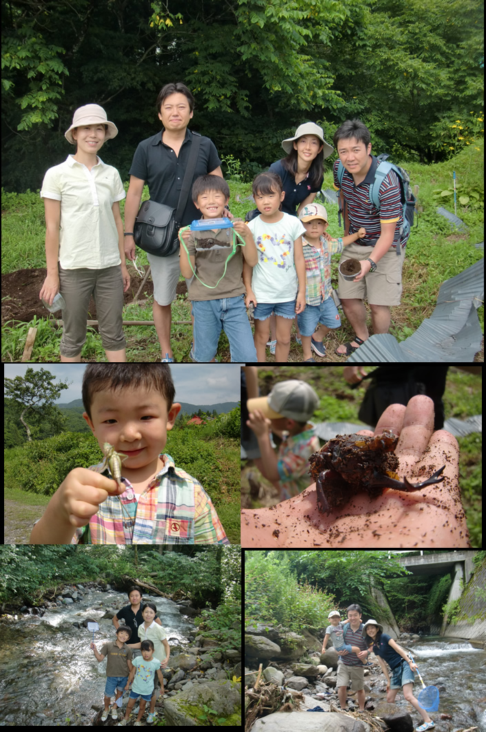 20110812pm.jpg